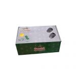 دزدگیر خودرو چیتا مدل Neen